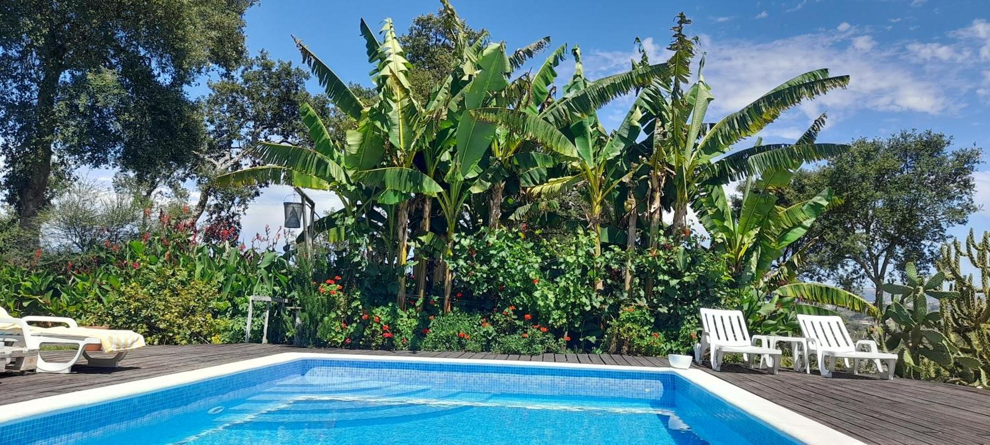Gite Canto Azul Casal da Carreira Dış mekan fotoğraf