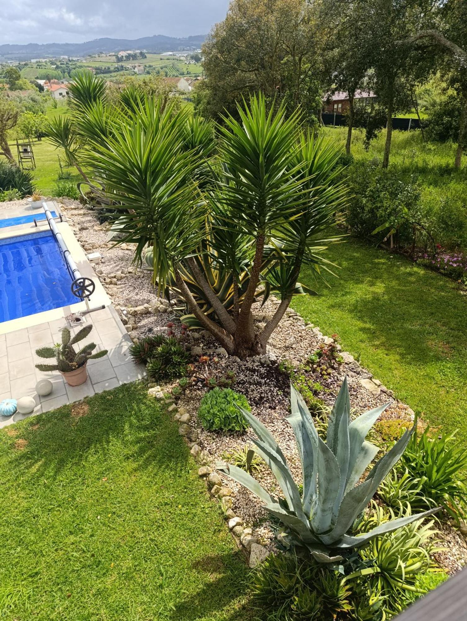 Gite Canto Azul Casal da Carreira Dış mekan fotoğraf